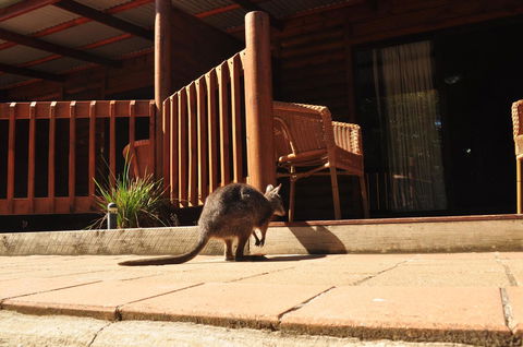 Kangaroo Island Wilderness Retreat - Accommodation Port Hedland 9