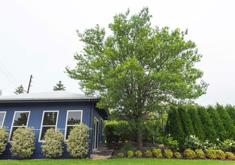 S T U D I O 22 Peaceful Retreat With Garden Views - Accommodation Port Hedland 11