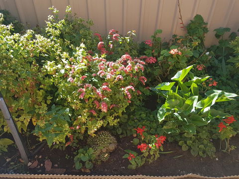 Tanunda\'s Magpie House - Accommodation Port Hedland 24