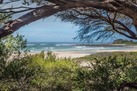 BIG4 Tasman Holiday Parks - Racecourse Beach - Accommodation Port Hedland 7