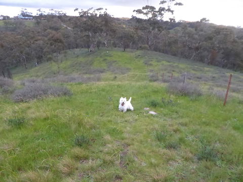 Molly's Chase - Accommodation Port Hedland 22