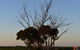 A Coonawarra Experience - thumb 24