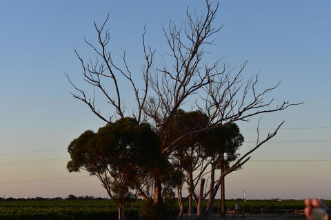 A Coonawarra Experience - Accommodation Port Hedland 24