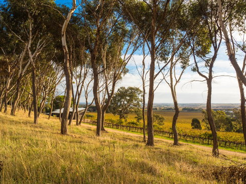 Shadow Creek McLaren Vale - Accommodation Port Hedland 5