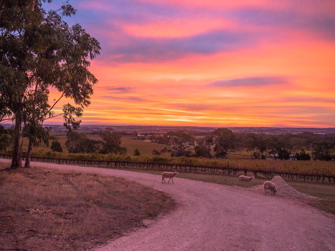 Shadow Creek McLaren Vale - Accommodation Port Hedland 24