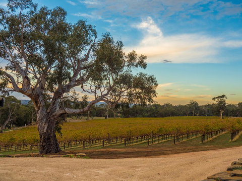 Shadow Creek McLaren Vale - Accommodation Port Hedland 23