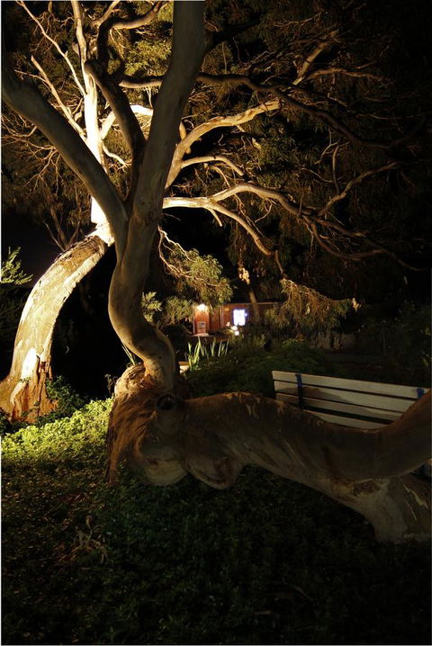 Cape Jervis Holiday Units - Accommodation Port Hedland 14