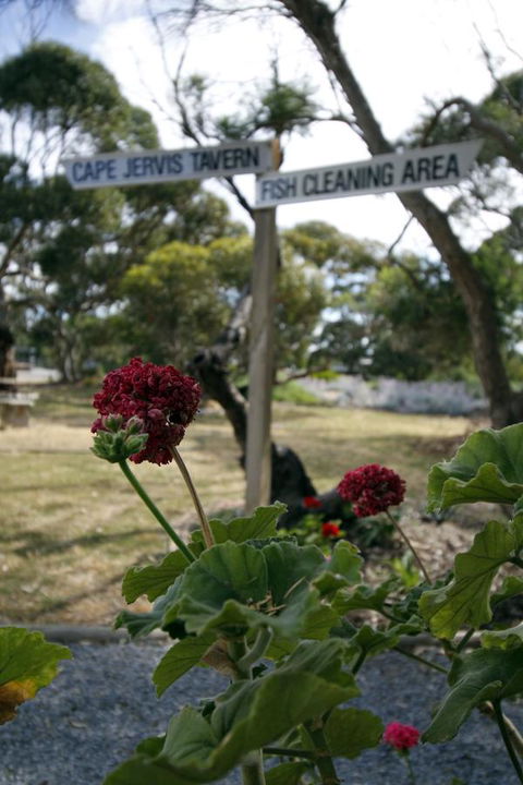 Cape Jervis Holiday Units - Accommodation Port Hedland 13