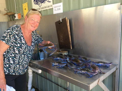 Ceduna Foreshore Caravan Park - Accommodation Port Hedland 28