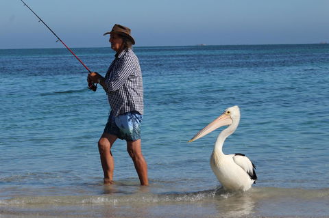 Ceduna Foreshore Caravan Park - Accommodation Port Hedland 21