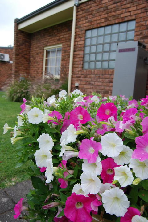 Arkana Motor Inn & Terrace Apartments - Accommodation Port Hedland 40