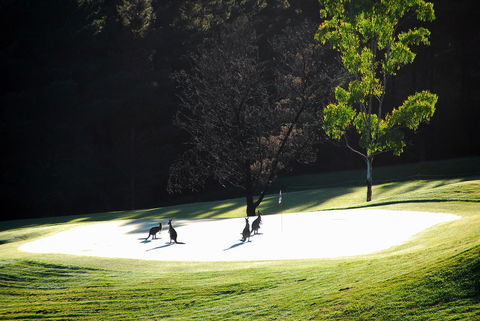 SkyView Villa - Accommodation Port Hedland 3