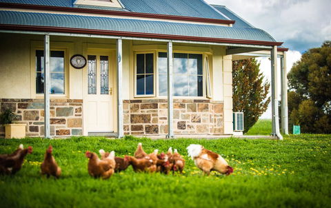 Barossa Vineyard Cottages - Accommodation Port Hedland 40