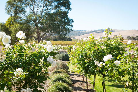 Barossa Vineyard Cottages - Accommodation Port Hedland 1