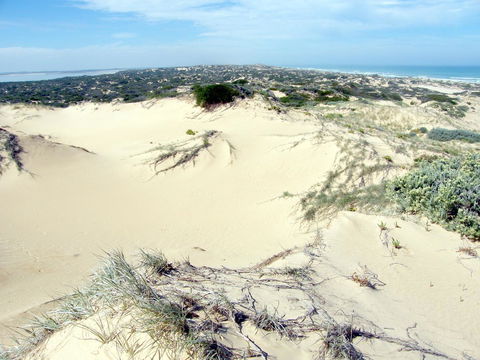 Coorong Waterfront Retreat - Accommodation Port Hedland 32