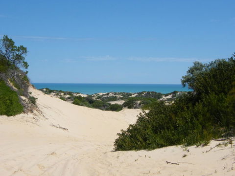 Coorong Waterfront Retreat - Accommodation Port Hedland 23