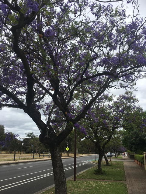 Adelaide Style Accommodation-Close To City-North Adelaide-3 Bdrm- FREE Parking - Accommodation Port Hedland 34
