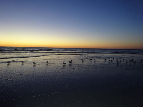 Selene Holiday Apartment @West Beach - Accommodation Port Hedland 6