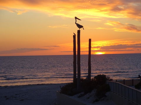 Selene Holiday Apartment @West Beach - Accommodation Port Hedland 2