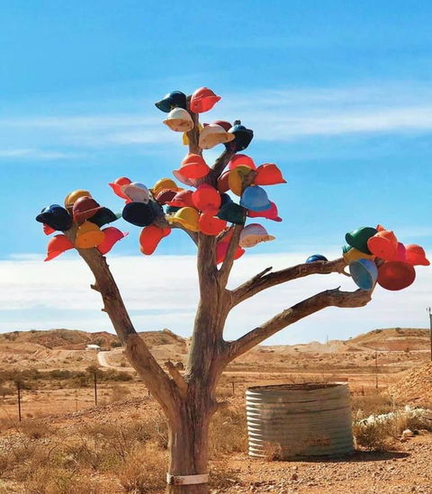 Aussie Opal Diggers Outback Retreat-Undergound - Accommodation Port Hedland 29