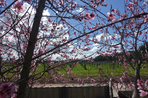 Amy\'s House Bed & Breakfast - Accommodation Port Hedland 40