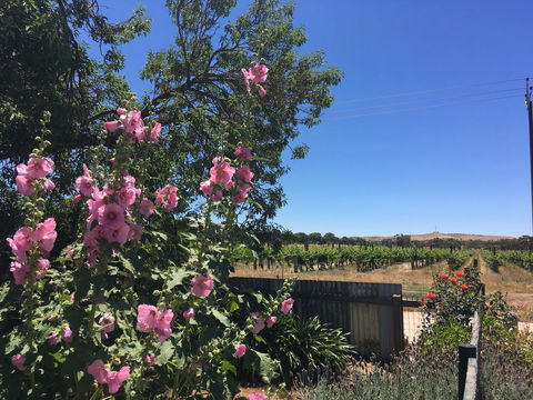 Amy\'s House Bed & Breakfast - Accommodation Port Hedland 29