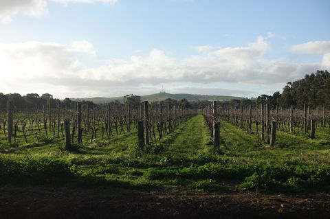 Amy\'s House Bed & Breakfast - Accommodation Port Hedland 31