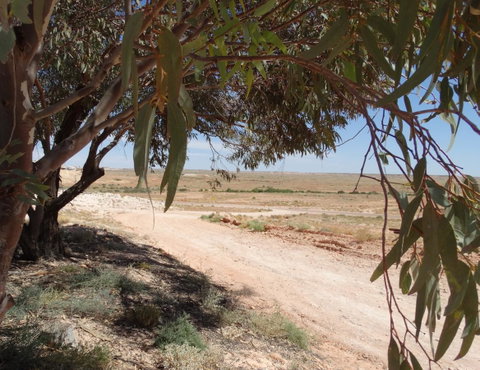 Di's Place - Accommodation Port Hedland 17