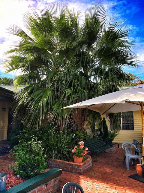 Ten Dollar Town Motel - Accommodation Port Hedland 17