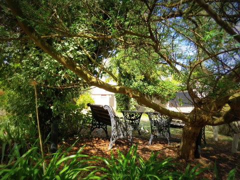 The Pig And Whistle - Accommodation Port Hedland 4