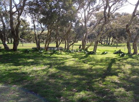 Wenton Farm Holiday Cottages - Accommodation Port Hedland 1