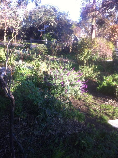 Hilltop Too - Accommodation Port Hedland 12