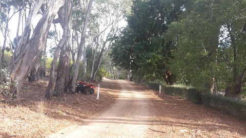 Taralee Orchards - Accommodation Port Hedland 4