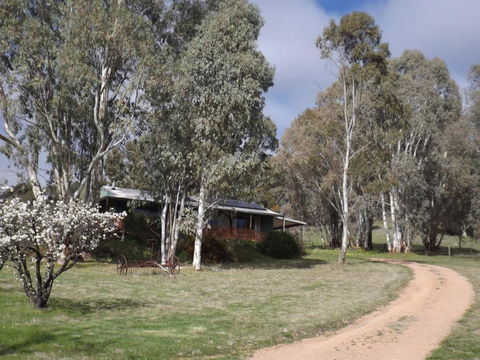 Taralee Orchards - Accommodation Port Hedland 9