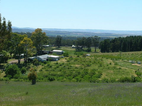 Taralee Orchards - Accommodation Port Hedland 0