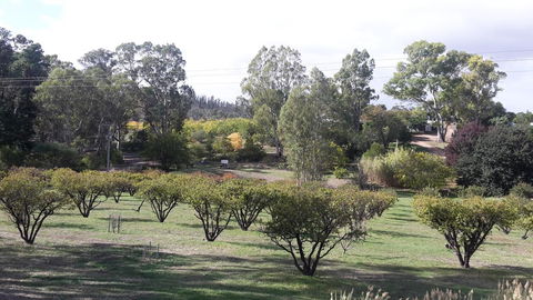 Taralee Orchards - Accommodation Port Hedland 1