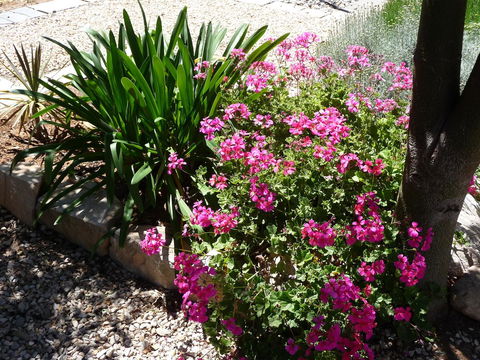 Country Bakehouse Accommodation - Accommodation Port Hedland 18