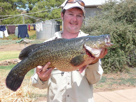 Country Bakehouse Accommodation - Accommodation Port Hedland 20