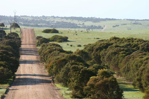 Almonta Park Lodge - Accommodation Port Hedland 1
