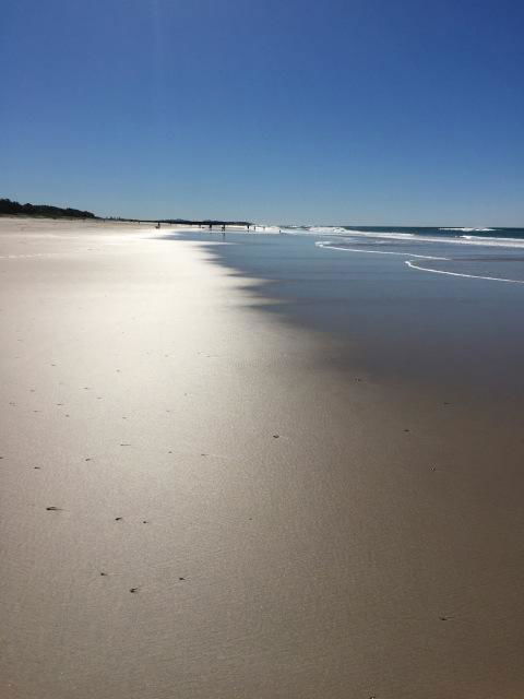 Brunswick Heads Treetop Studio - Accommodation Port Hedland 23