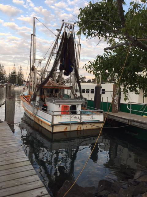 Brunswick Heads Treetop Studio - Accommodation Port Hedland 25
