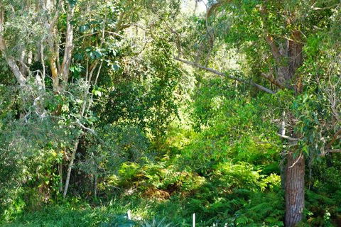 Brunswick Heads Treetop Studio - Accommodation Port Hedland 20