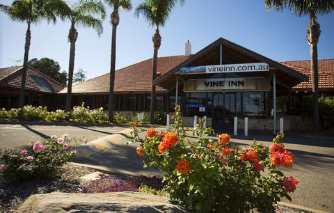 Vine Inn Barossa - Accommodation Port Hedland 27
