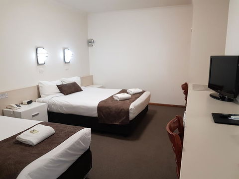 Vine Inn Barossa - Accommodation Port Hedland 13