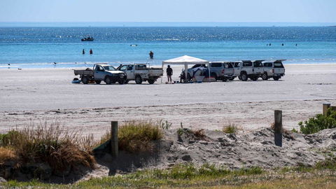 Wallaroo Holiday Park - Accommodation Port Hedland 9