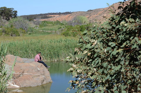 Burra Motor Inn - Accommodation Port Hedland 34