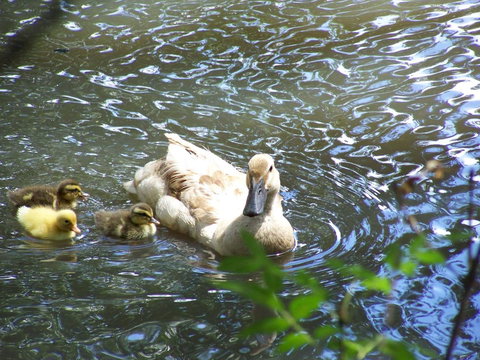 Burra Motor Inn - Accommodation Port Hedland 27
