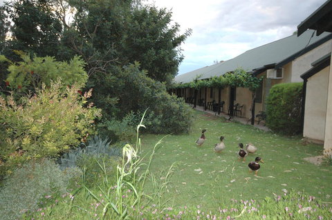 Burra Motor Inn - Accommodation Port Hedland 24