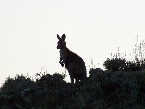 Burra Motor Inn - Accommodation Port Hedland 37