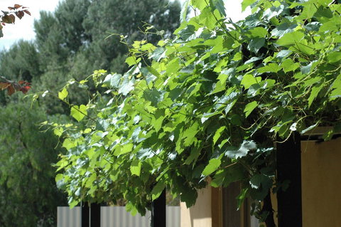 Burra Motor Inn - Accommodation Port Hedland 15